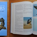 Field guides - aves (3).jpg